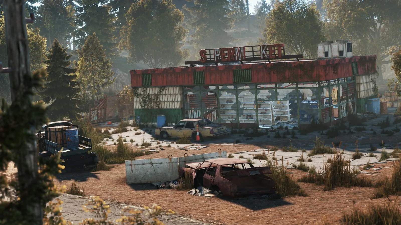 The Supermarket monument in Rust.